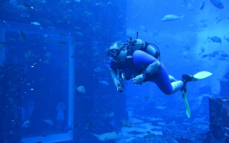 Scuba diving in Dubai - TripJohn